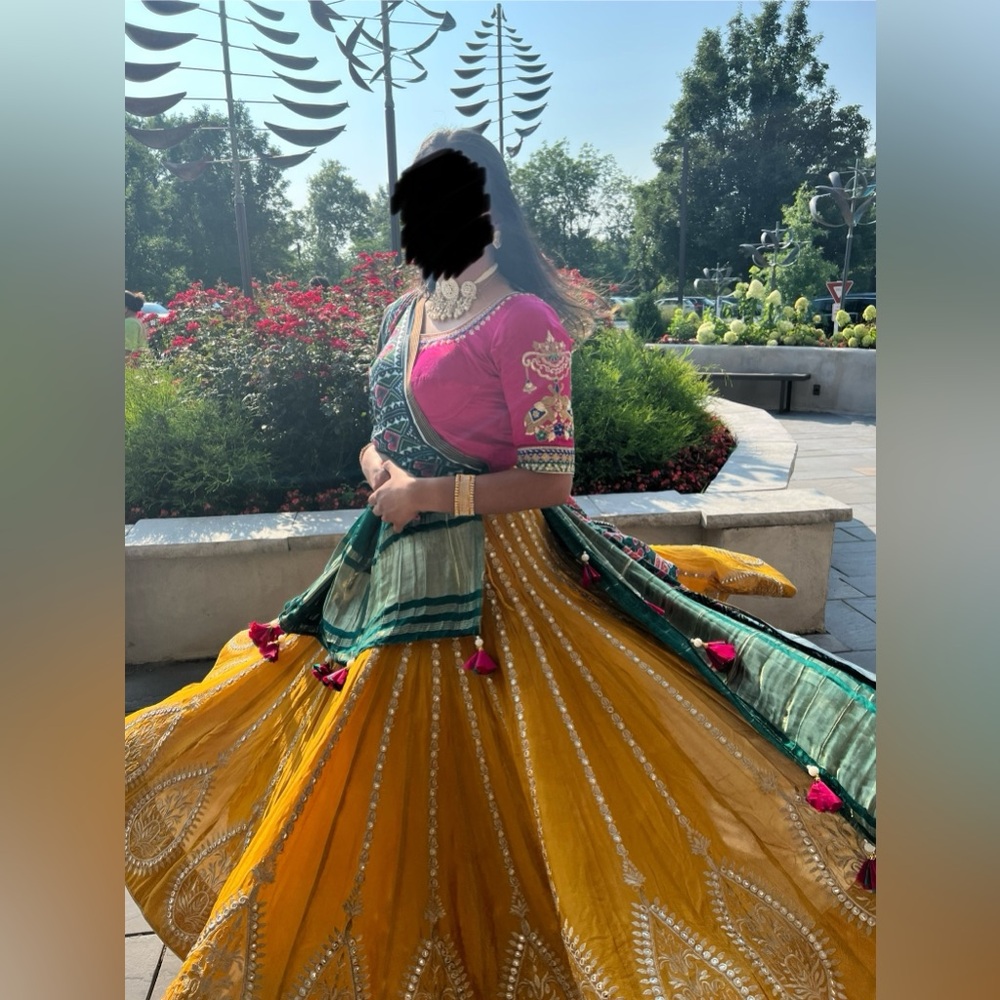 Designer Renu Vaidya Chaniya Choli - Picture 2 of 3